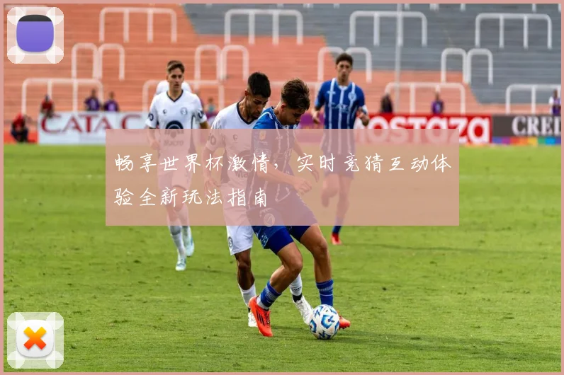 畅享世界杯激情，实时竞猜互动体验全新玩法指南