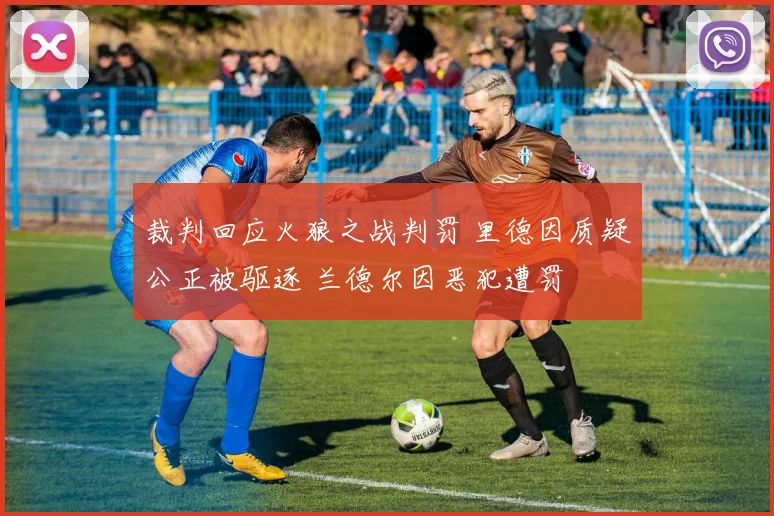 裁判回应火狼之战判罚 里德因质疑公正被驱逐 兰德尔因恶犯遭罚