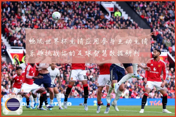 畅玩世界杯竞猜应用参与互动竞猜乐趣挑战你的足球智慧数据研判