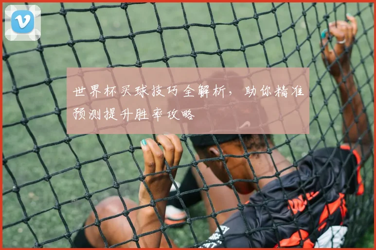 世界杯买球技巧全解析，助你精准预测提升胜率攻略
