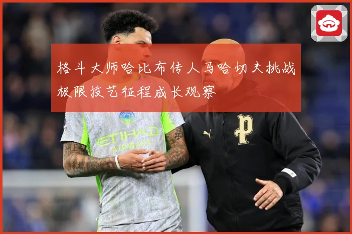 格斗大师哈比布传人马哈切夫挑战极限技艺征程成长观察