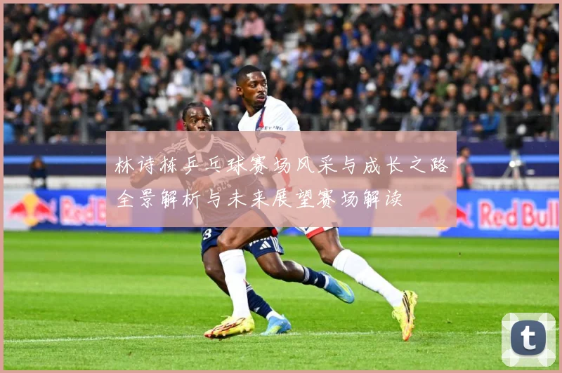 林诗栋乒乓球赛场风采与成长之路全景解析与未来展望赛场解读
