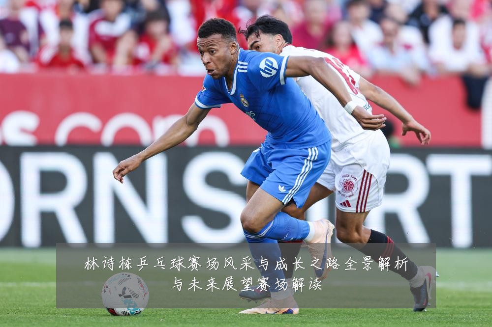 林诗栋乒乓球赛场风采与成长之路全景解析与未来展望赛场解读