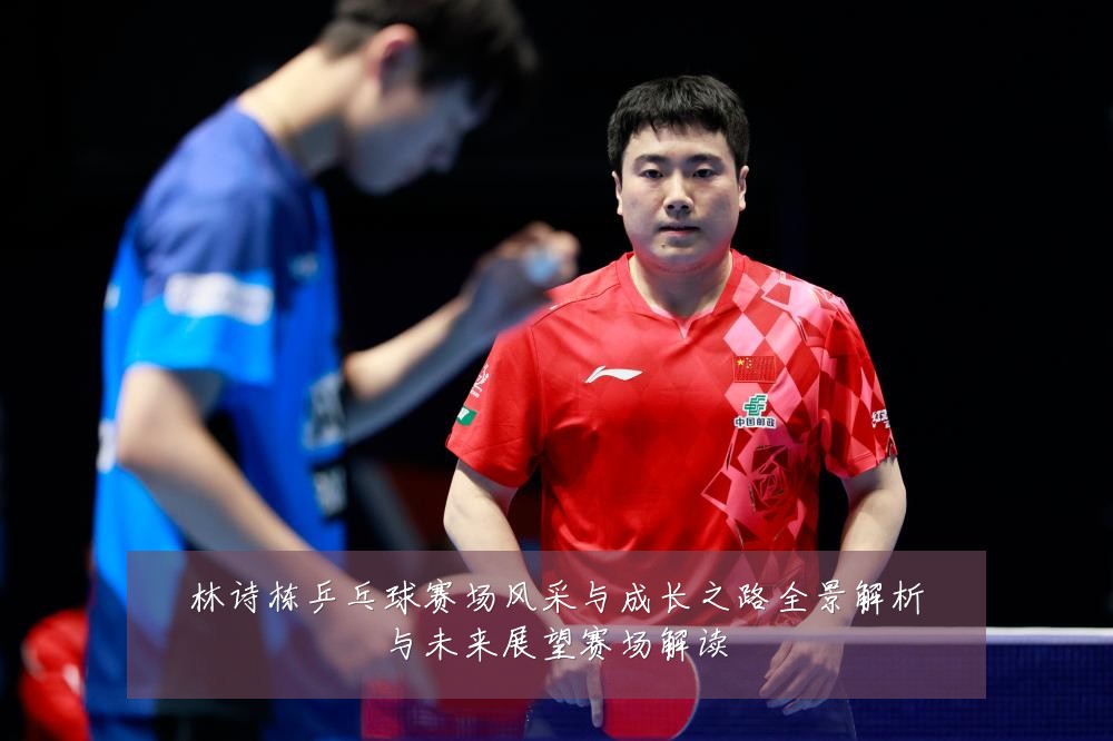 林诗栋乒乓球赛场风采与成长之路全景解析与未来展望赛场解读
