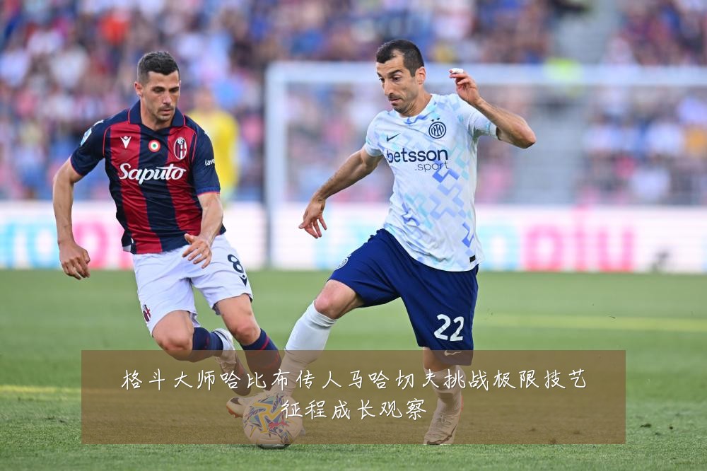 格斗大师哈比布传人马哈切夫挑战极限技艺征程成长观察