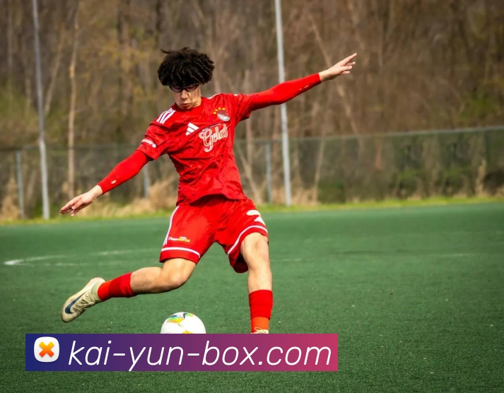 开云平台注册入口详细指南如何顺利完成账户注册并开启使用